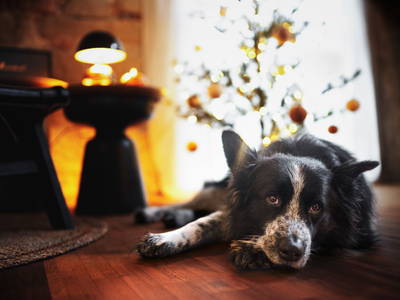 Bild 5 aus  Ferienhaus Gersmühle