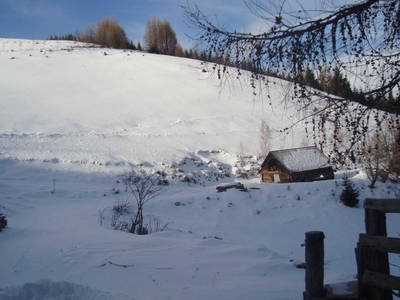 Bild 18 aus  Größingalm