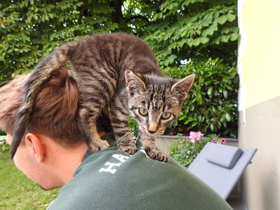 Bild 67 aus  Familienparadies Fuggerhof