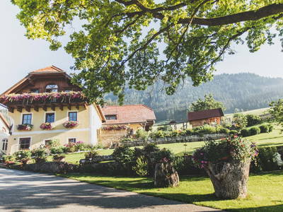 Bild 2 aus  Michlbauer