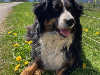 Bild 92 aus  Familie Nußbaumer 