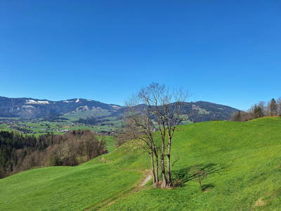 Aussicht