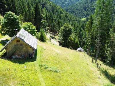 Bild 72 aus  Almhütte Meierle