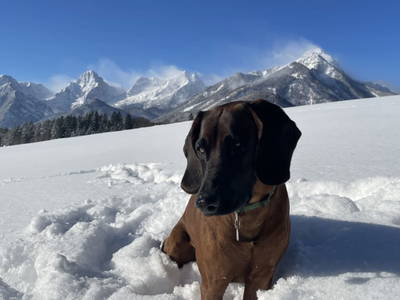 Bild 22 aus  Ferienhof Zamsegg