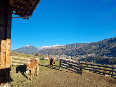 Bild 74 aus  Kassnhof