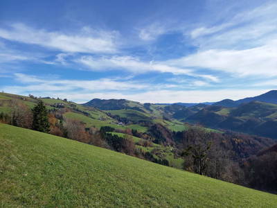 Bild 87 aus  Ferienhof Schneiderweg