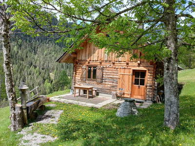 Bild 38 aus  Almhütte Meierle