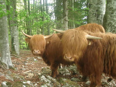 Bild 17 aus  Das Pumphaus