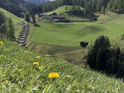 Bild 2 aus  Zirkenhof