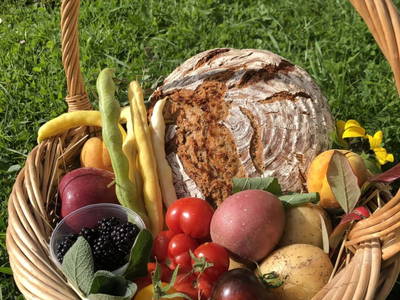 Bild 20 aus  Michelas Hof