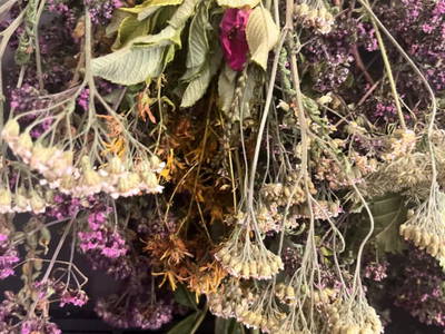 Bild 43 aus  Ascherhof