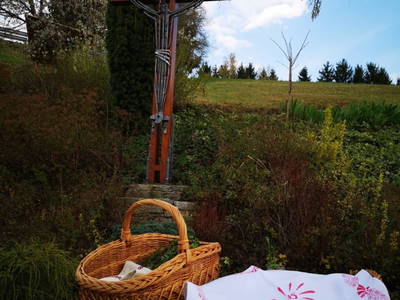 Bild 147 aus  Kleinhofers Himbeernest