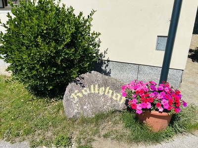 Bild 17 aus  Kollehof