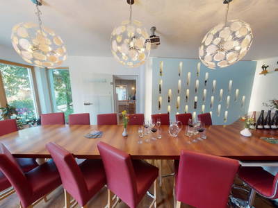 Bild 96 aus  Weingut Himmelbett