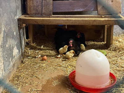 Bild 70 aus  Unterwöhrlehen