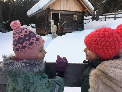 Bild 21 aus  Almhaus Gensbach