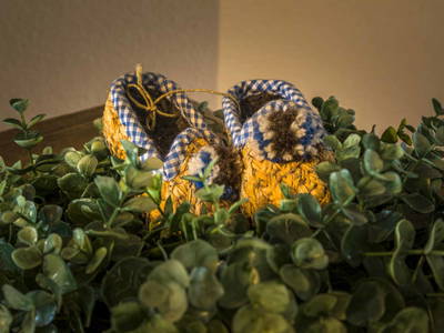 Bild 90 aus  Mitterbichlhof