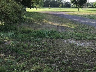 Bild 4 aus  Stellplatz auf dem Birkenhof