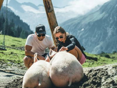Bild 88 aus  Enzianhütte im Habachtal