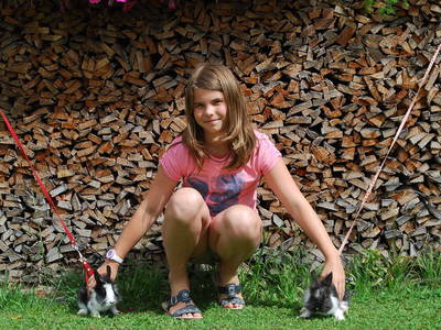 Bild 22 aus  Ferienhof Gressenbauer