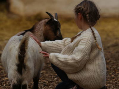 Bild 214 aus  Landgut Moserhof