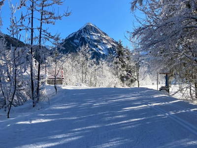 Bild 108 aus  Ferienbauernhof Kohler