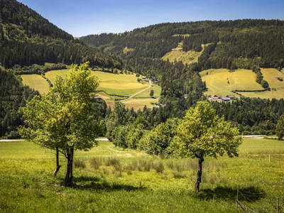 Bild 75 aus  Ferienhaus Oberpremgut