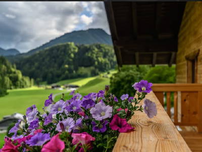 Bild 108 aus  Ascherhof