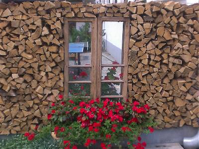 Bild 16 aus Familien und Pferdebauernhof