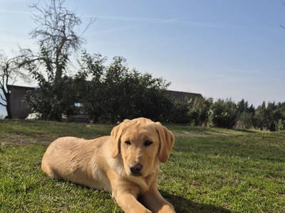 Bild 30 aus  Essleggerhof