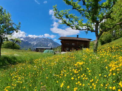 Bild 47 aus  Zom Ruaba