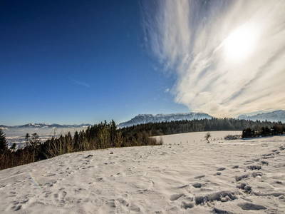 Bild 22 aus  Unterfürberg-Hof