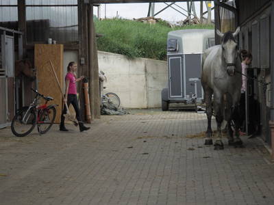 Bild 54 aus  Ferienhof Pulte