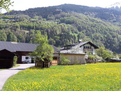 Bild 15 aus  Hof im Feld