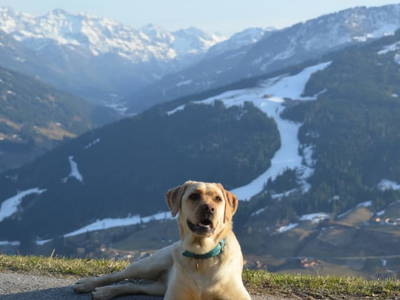 Bild 87 aus  Oberegghof