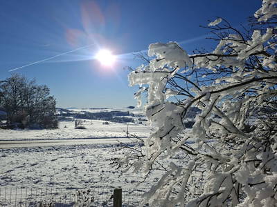 Bild 22 aus  Ferienhaus Plessberg