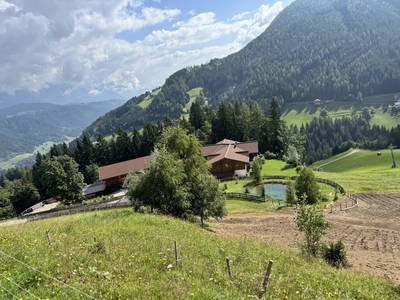 Bild 98 aus  Stegerhof