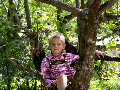 Bild 179 aus Arlitscherhof