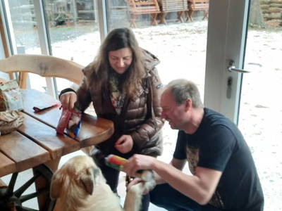 Bild 10 aus  Andis Reiterstüberl