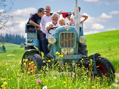 Bild 6 aus  Ferienhotel Starennest