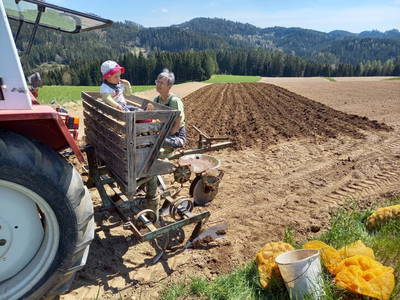 Bild 72 aus  Biohof Besenbäck