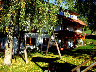 Bild 171 aus Bauernhof Pension Juri