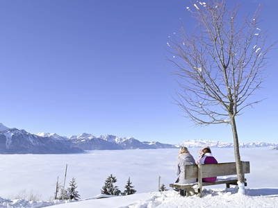 Bild 45 aus  Berghof