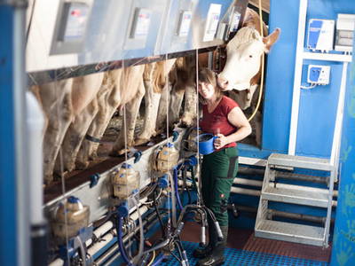 Bild 14 aus  Wansinghütte