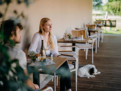 Bild 4 aus  Monschein Demeterweingut