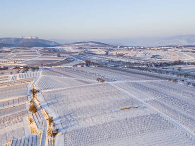 Bild 27 aus  Naturgartenurlaub - Steffis Ferienwohnungen