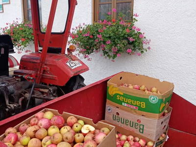 Bild 29 aus  Bauernhof Perhinig