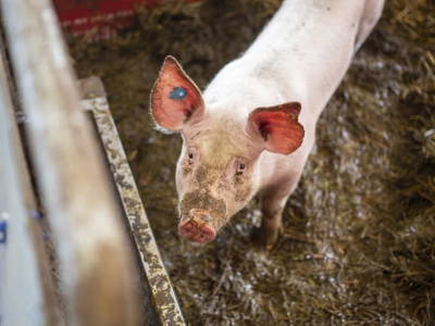 Bild 17 aus  Hausblick Matt