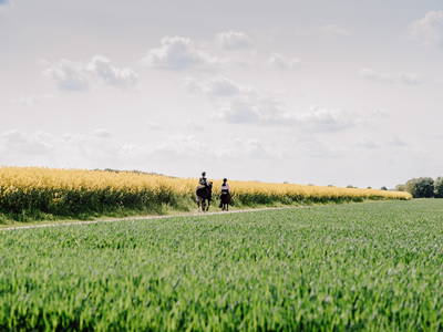 Bild 14 aus  Ferienhof Werner