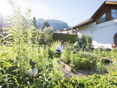 Bild 6 aus  Traubenhof    Pures Leben-Echt und natürlich